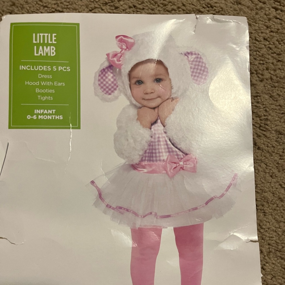 Halloween costume - bunny